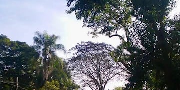 Las temperaturas serán calurosas este fin de semana\u002E