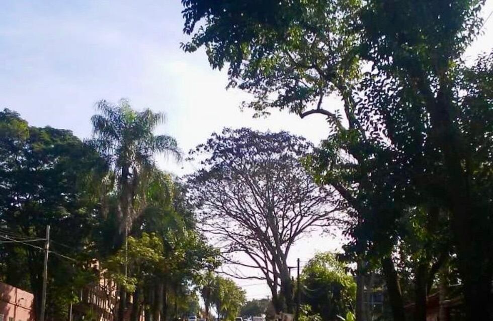 Clima en Eldorado: cómo estará el tiempo el fin de semana
