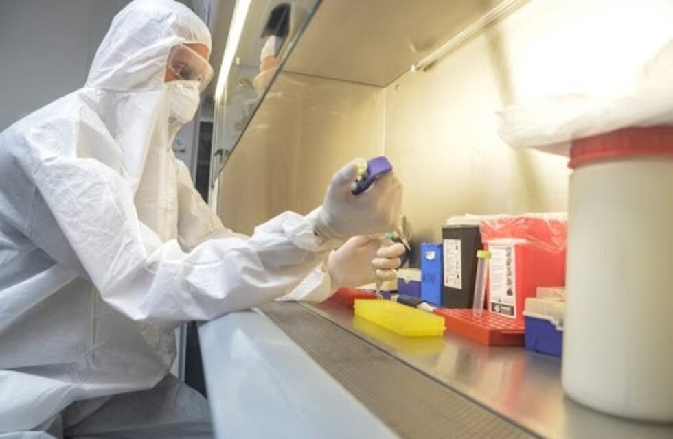 Mendoza: sexto día consecutivo sin nuevos casos positivos de coronavirus