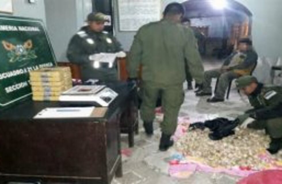 Secuestraron 30 kilos de cocaína que viajaban ocultos en bolsas con ajos en Jujuy
