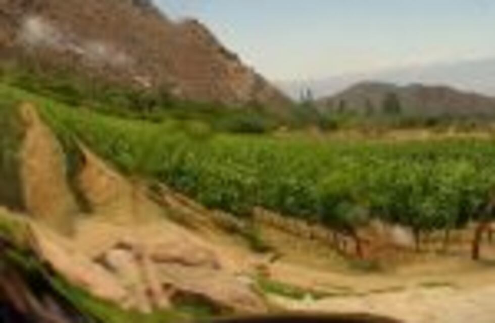 México pone el ojo en 'la tierra del Malbec'