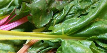 La acelga, uno de los productos que mu00e1s aumentu00f3.