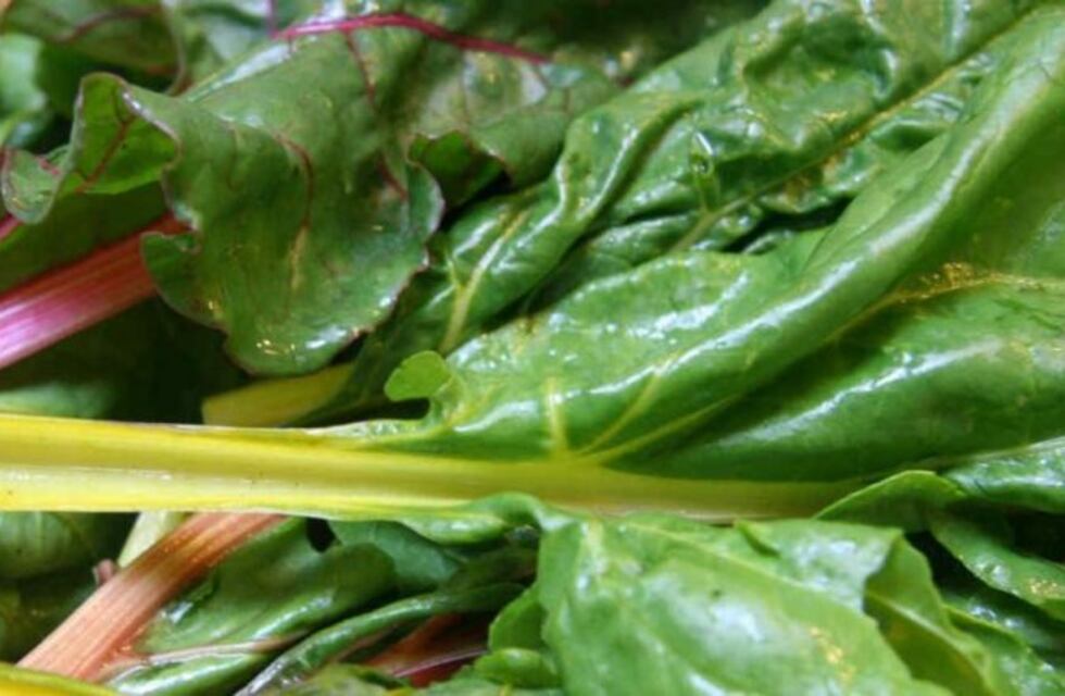 La verdura verde, con precios altos todo el invierno en Córdoba