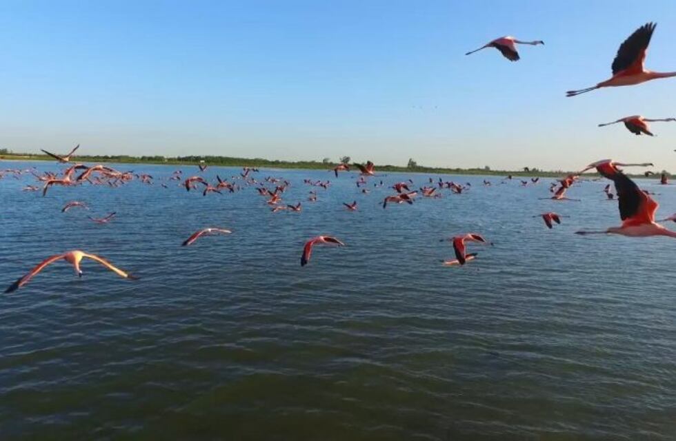 Clima: así arranca la semana en Ansenuza