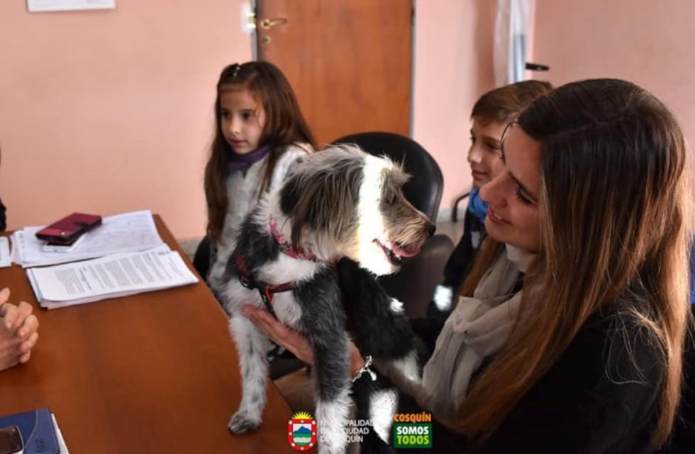 Cosquín: bonifican los impuestos a quienes adopten mascotas de la calle
