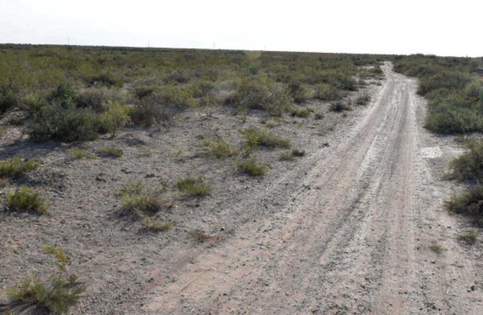 Río Negro: lo picó una araña y murió
