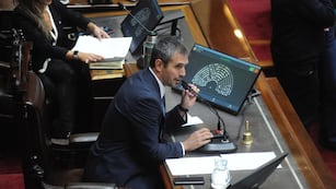 El presidente de la Cámara de Diputados, Martín Menem (Foto: Federico Lopez Claro)