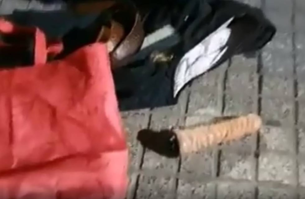 Insólito: lo requisaron por un robo y le encontraron un consolador