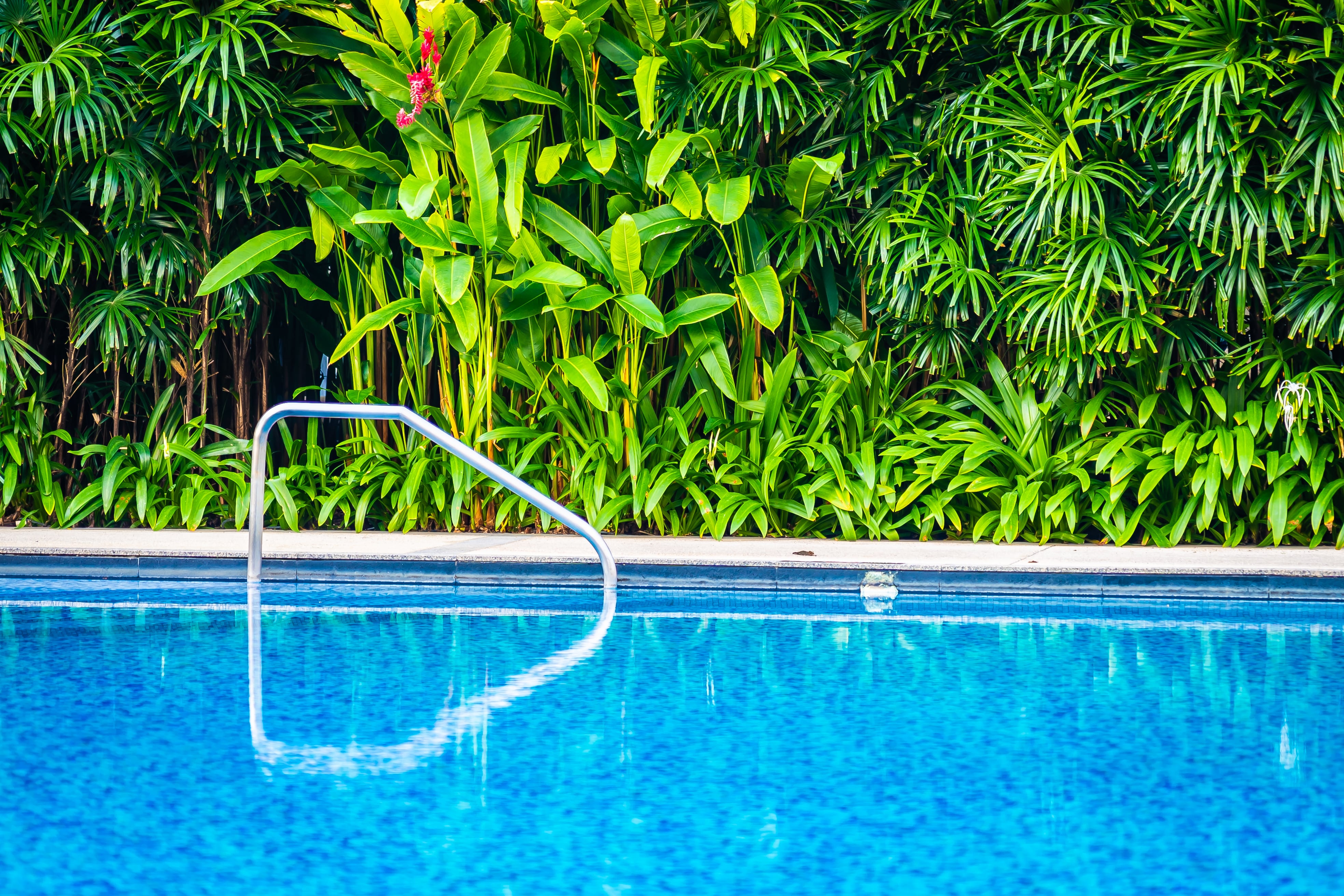 Mantener la pileta impecable no requiere gastar de más: el truco casero permite prolongar la claridad y suavidad del agua.