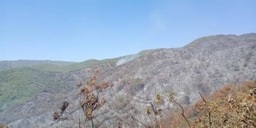 Defensa Civil, Bomberos y Aeronáutica trabajan coordinadamente con descargas aéreas y brigadistas en tierra.