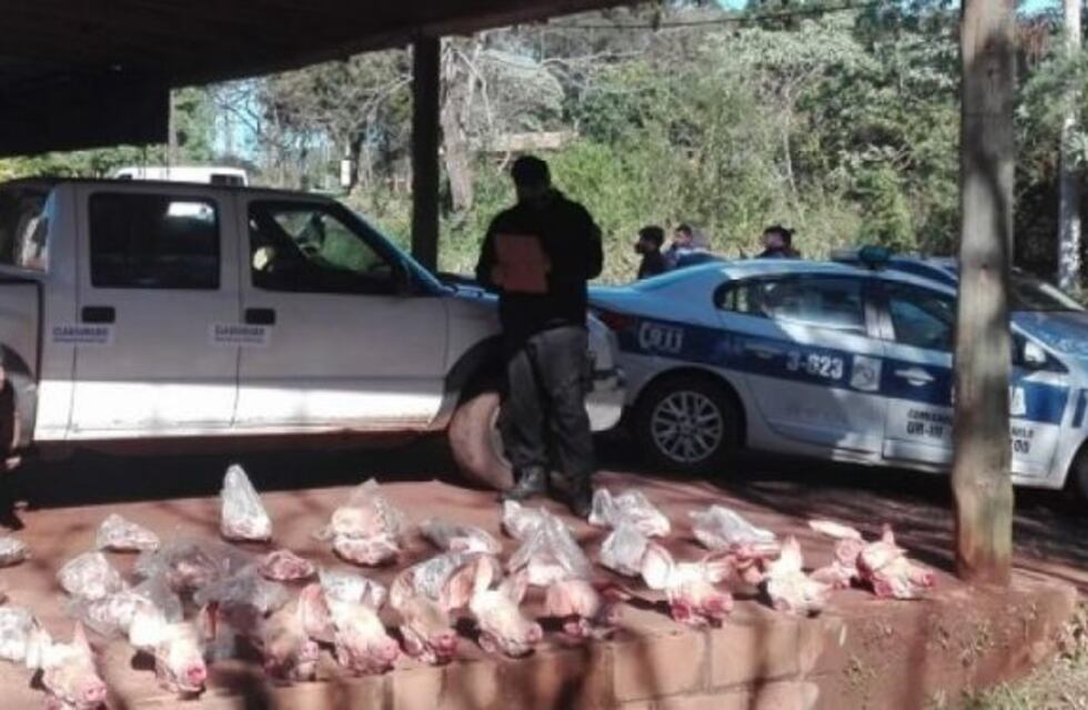 Incautan más de 140 kilos de carne transportados de manera insalubre