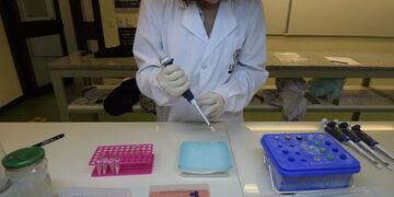 Los estudiantes deberán estar en el último tramo de su carrera\u002E