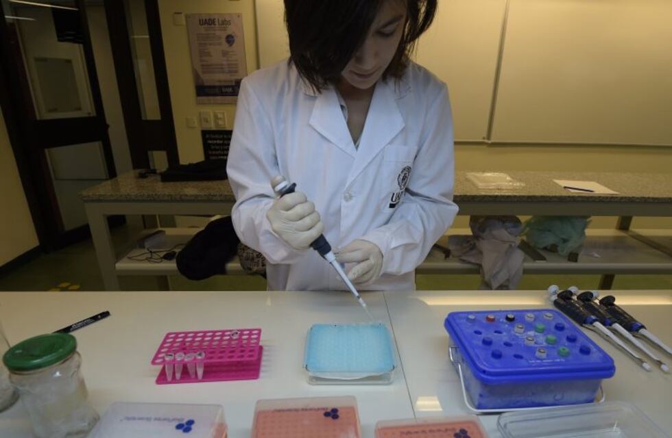 La Provincia creó un programa para insertar laboralmente a estudiantes universitarios