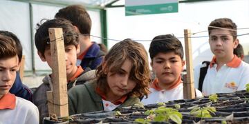 Alumnos de las escuelas generativas aprendieron sobre árboles y plantas autóctonas de San Luis\u002E
