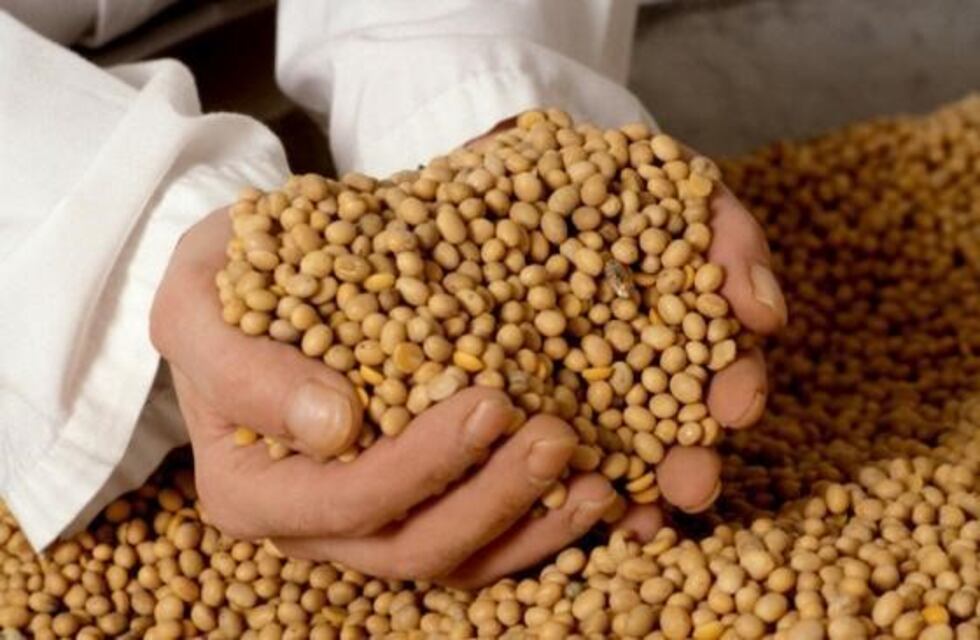 Juárez Celman es el departamento con mejor rinde de soja en la Provincia