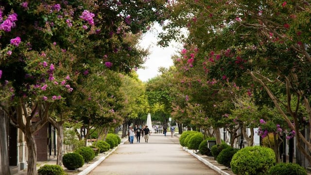 Invitan a participar de recorrido guiado por el cementerio La Piedad