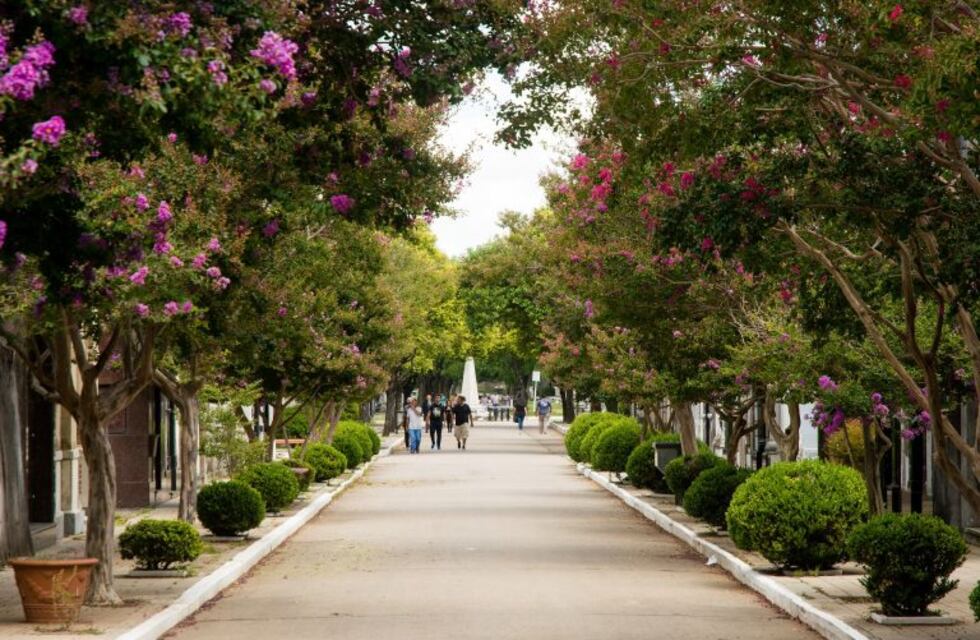 Recorrido guiado y gratuito por el cementerio La Piedad