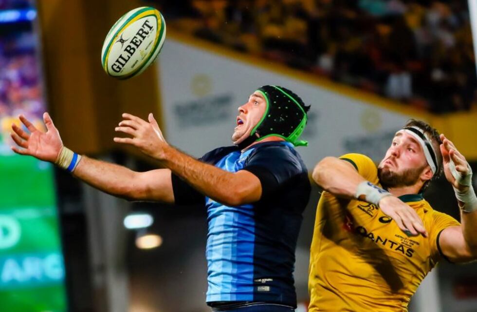 Los Pumas: cuatro cordobeses en la lista de Ledesma para la Copa del Mundo 2019