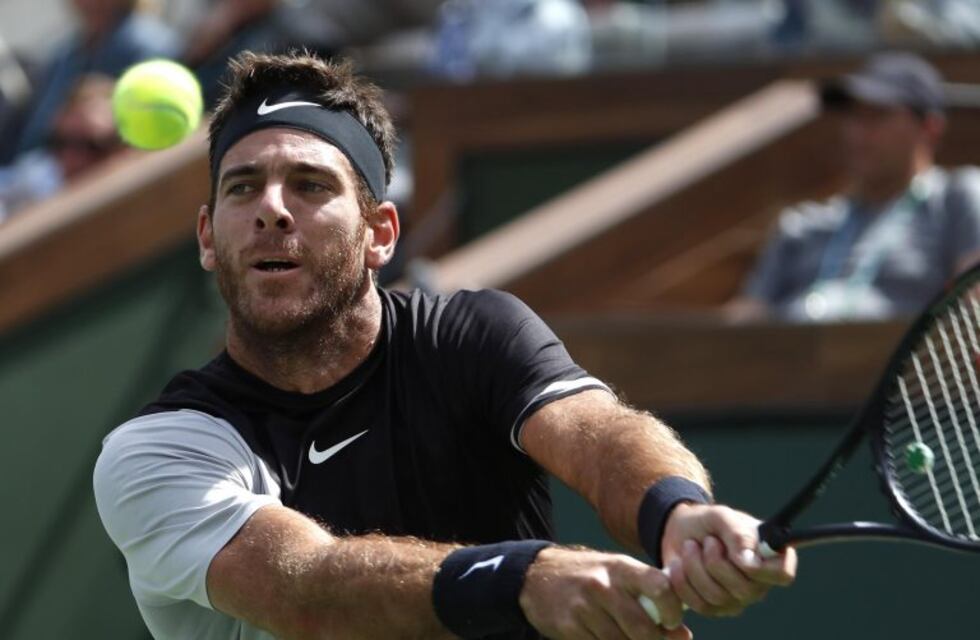 Del Potro se consagró campeón de Indian Wells al vencer en la final a Federer