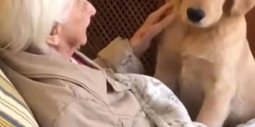 El emocionante momento entre un perro y una anciana de 100 años\u002E