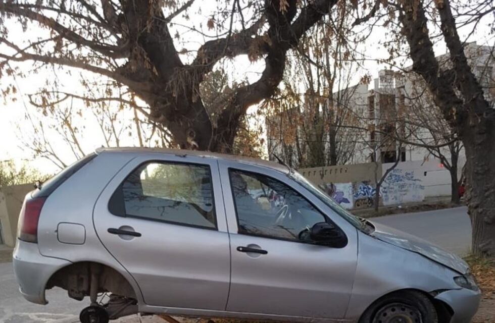 Se distrajo y quedó colgado de un árbol