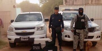 Incautaron marihuana en Salta\u002E (Prensa Policía de Salta)