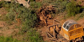 Deforestación en la Argentina\u002E