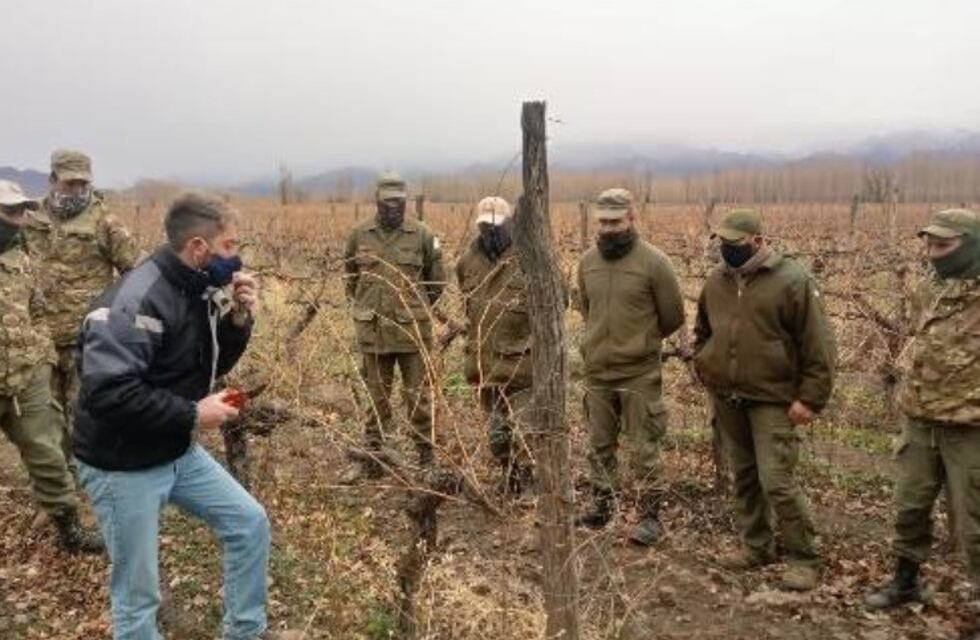 El INTA capacitó a soldados de Campo Los Andes en poda de vid