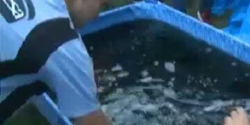 Willy Magia, la rompe\u002E