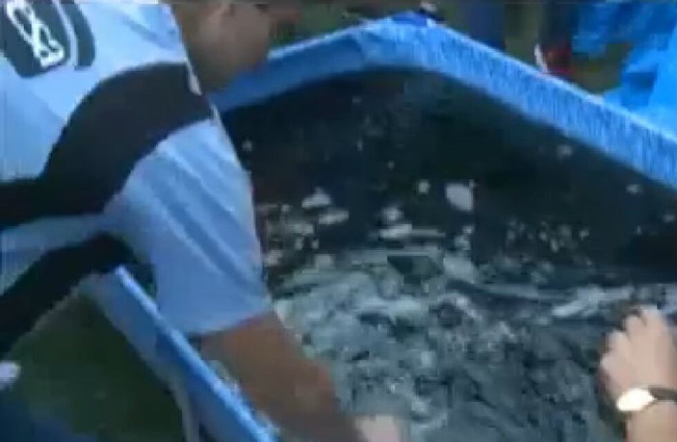 Mirá cómo Willy Magia transforma el agua de una pileta en fernet