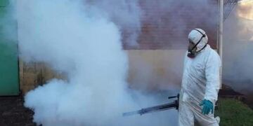 Los trabajos incluyen la fumigación en los barrios\u002E