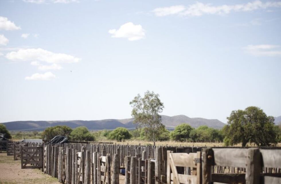 El Gobierno de la Provincia hizo entrega de ayudas para los damnificados por los incendios forestales en Punilla