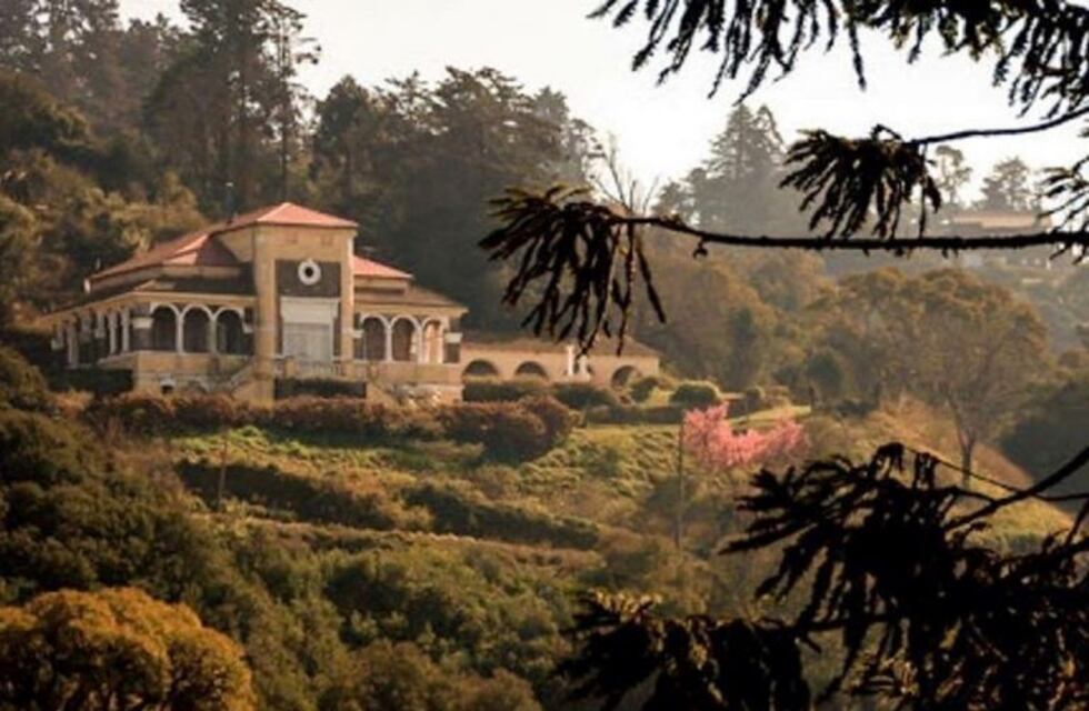 El proyecto tucumano "Yungas Arte Contemporáneo" llega a Buenos Aires