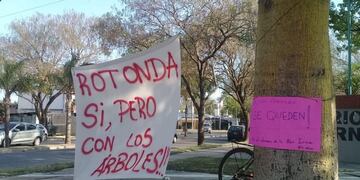 Manifestación por árboles de la rotonda