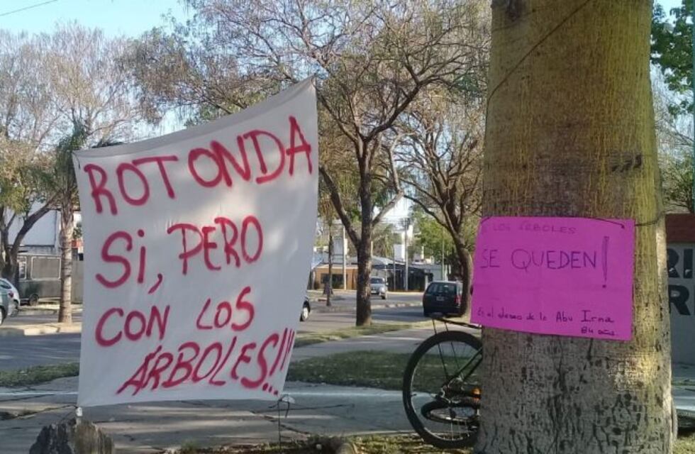 La Municipalidad afirma que trasladará los árboles de la nueva rotonda