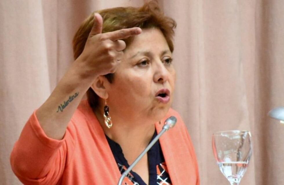 Navarro: "Mutio parece un dirigente del PRO, que estigmatiza a los compañeros"