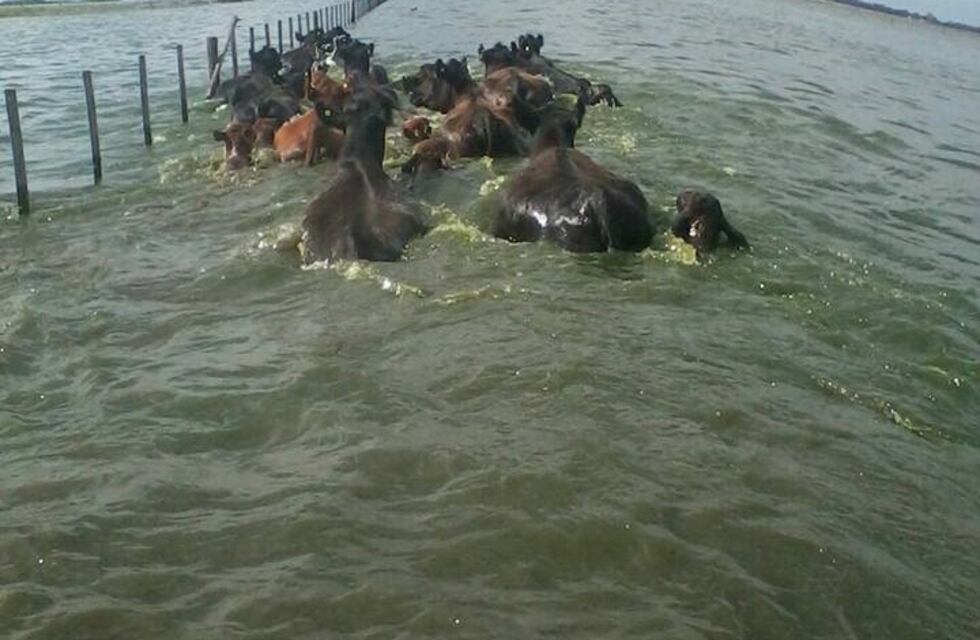 Declaran emergencia en Bengolea y Ucacha, hay una veintena de casas inundadas y es crítica la situación en áreas rurales