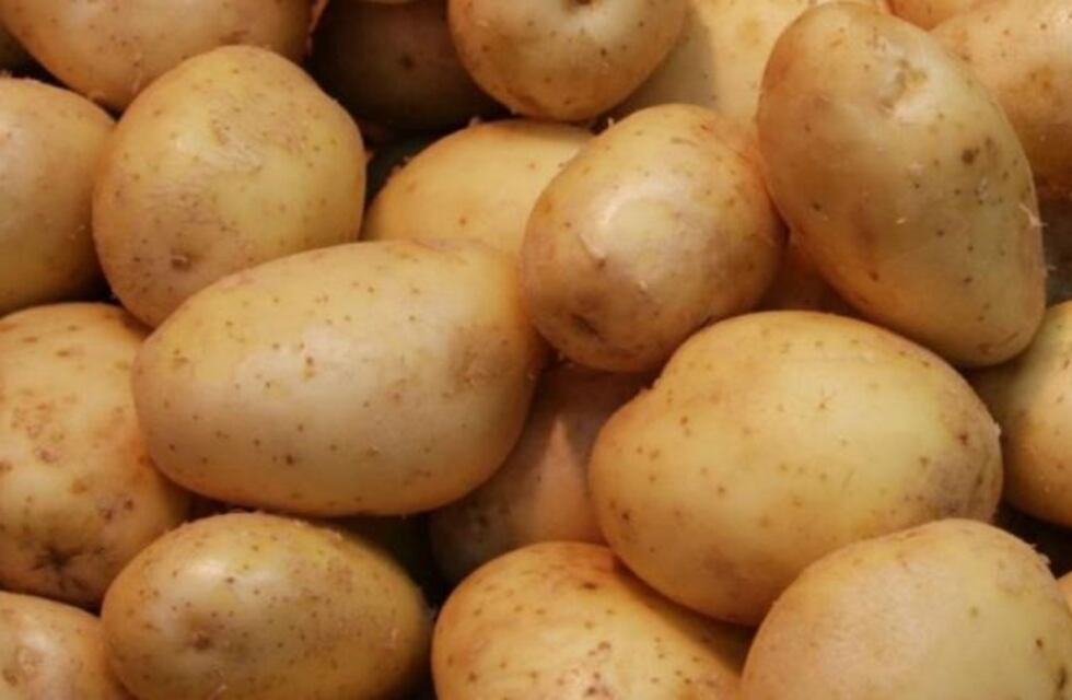 Córdoba sede de la jornada nacional Agropapa 2017