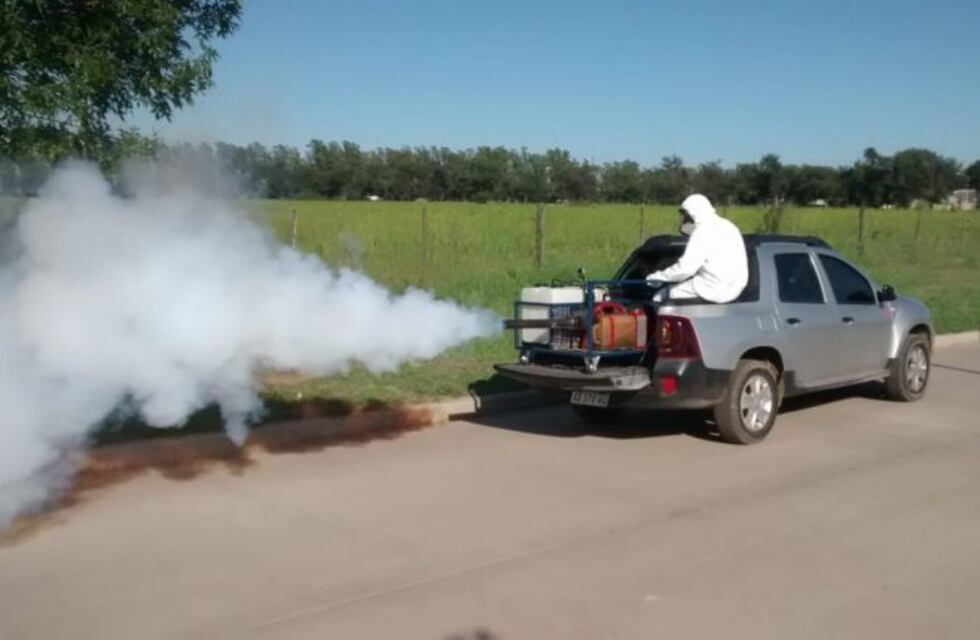 Punta Alta: cronograma de Fumigación