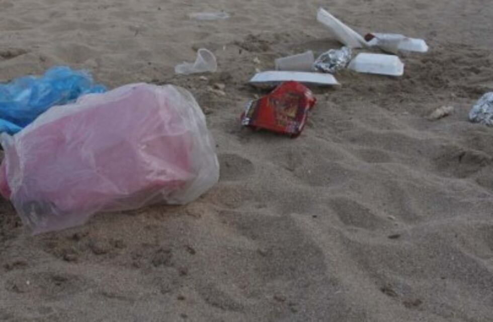 Microplásticos: el problema ambiental que termina en los platos de comida