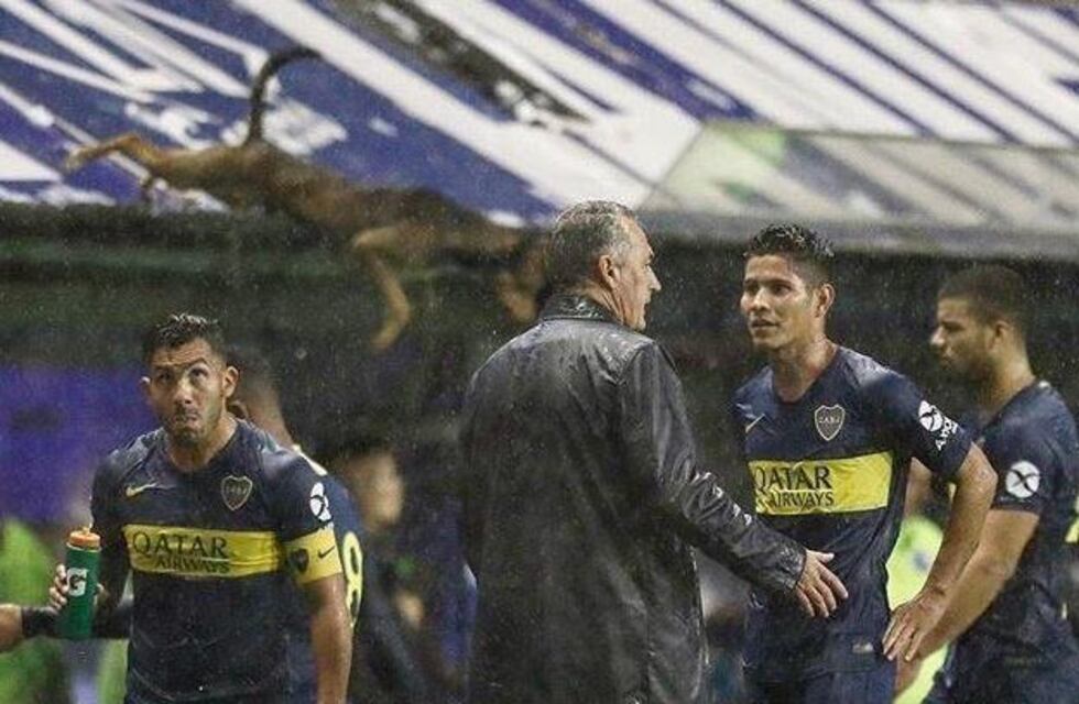 El perro "volador" que sorprendió a todos en la Bombonera