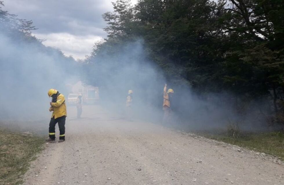 Asociaciones ambientalistas piden sanciones para la empresa que provocó el incendio forestal
