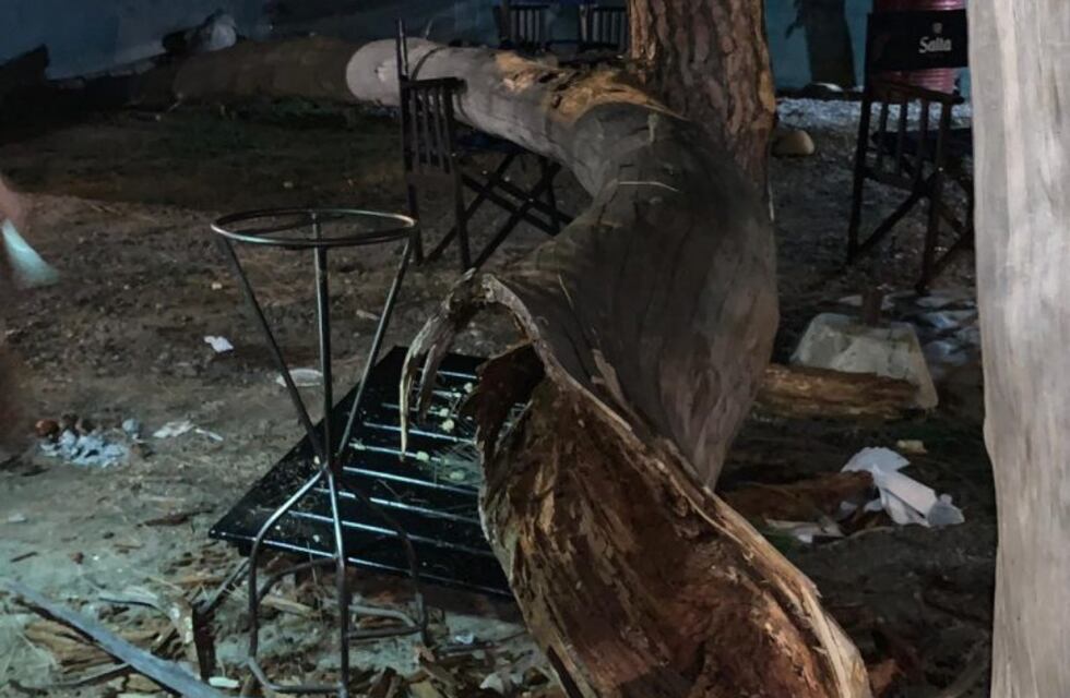 Dos mujeres comían en un restorán cuando les cayó una rama encima