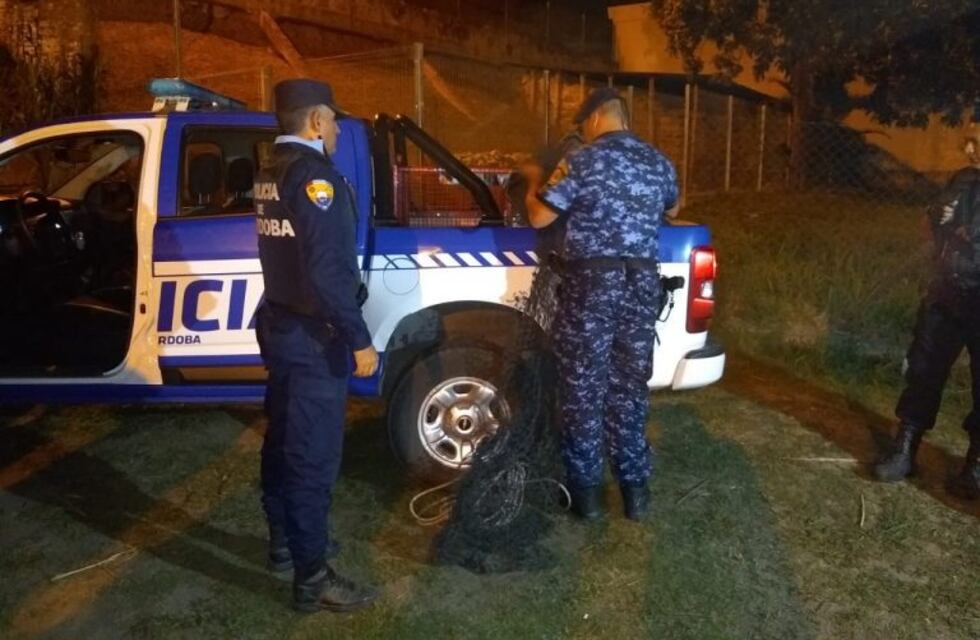 Alta Gracia: hubo un fuerte operativo para dar con un puma, que deambulaba en la zona del Tajamar