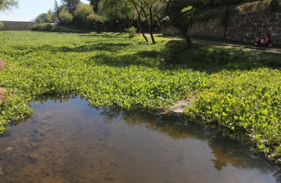 Advierten la pérdida de calidad del agua por los incendios forestales en la Provincia de Córdoba