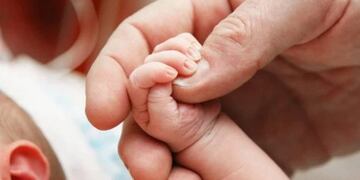 Imagen ilustrativa\u002E