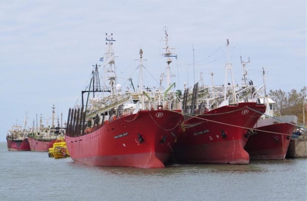 “Récord de petróleo crudo movido en Puerto Rosales”