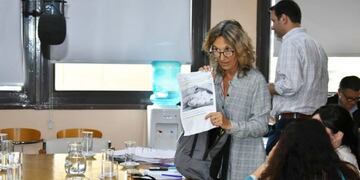 La diputada Alicia Mayoral (Plan B Noticias)