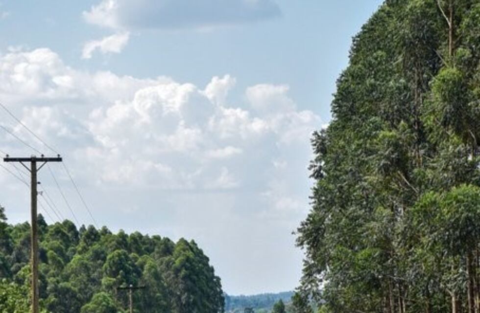 Alberto Fernández ya está en Misiones, donde visitará obras y anunciará extensión del ASPO