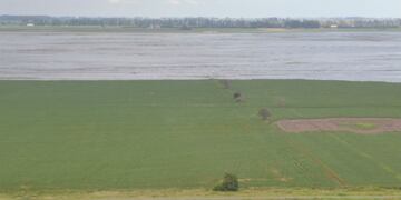 Emergencia agropecuaria Córdoba